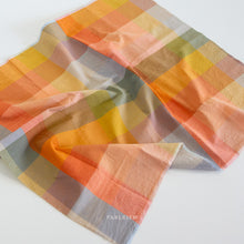 Load image into Gallery viewer, Happy Checkers in Retro | Lumiére by Fableism Supply Co