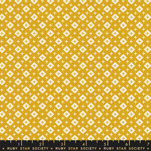 Load image into Gallery viewer, Basket in Cactus | Moonglow by Alexia Abegg