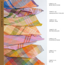 Load image into Gallery viewer, Happy Checkers in Bold | Lumiére by Fableism Supply Co