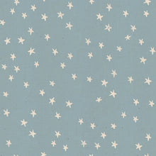 Load image into Gallery viewer, 15&quot; Remnant | Soft Blue | Starry by Alexia Abegg

