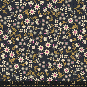 Inflorescence in Soft Black | Favorite Flowers by Ruby Star Society