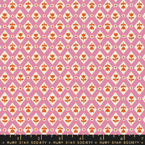 Lattice 30s in Kiss | Favorite Flowers by Ruby Star Society