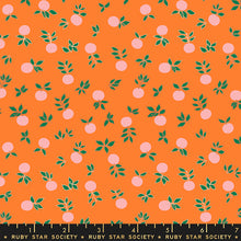 Load image into Gallery viewer, Blossom in Orange | Stay Gold by Melody Miller
