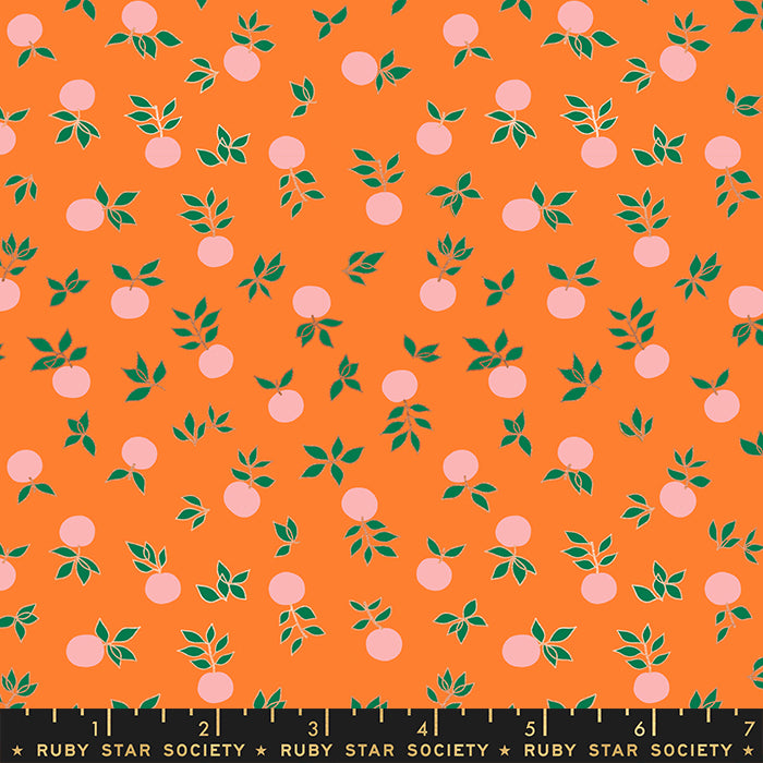 Blossom in Orange | Stay Gold by Melody Miller