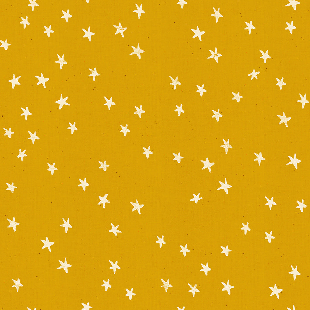 Goldenrod | Starry by Alexia Abegg