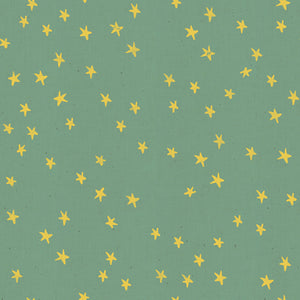 Soft Aqua | Starry by Alexia Abegg