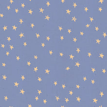 Load image into Gallery viewer, Dusk | Starry by Alexia Abegg
