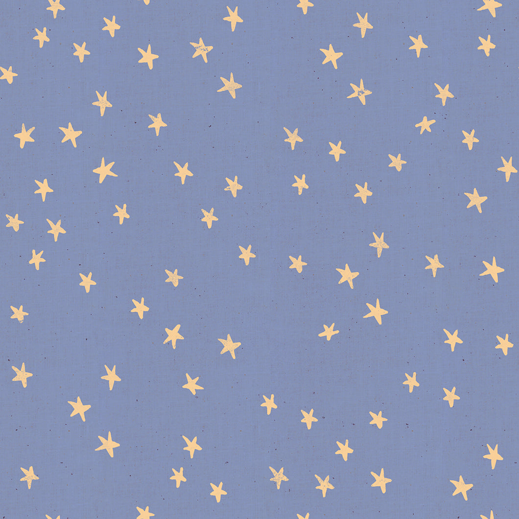 Dusk | Starry by Alexia Abegg