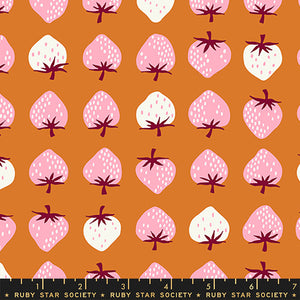 Strawberry in Caramel | Strawberry & Friends by Kimberly Kight