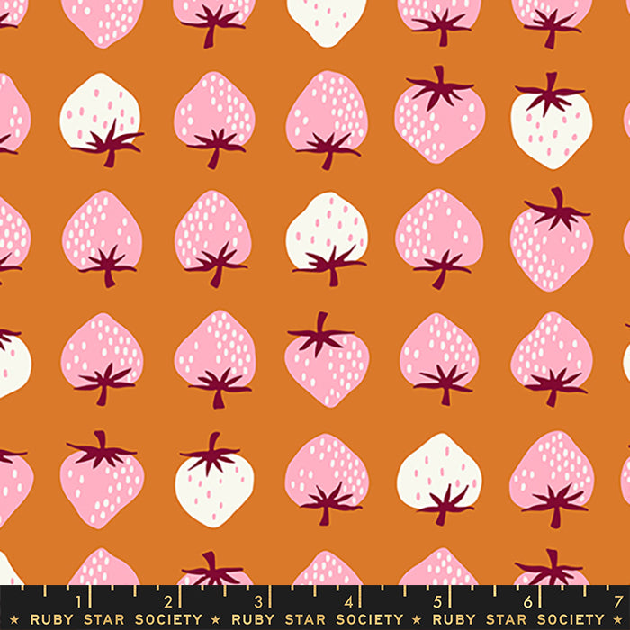 Strawberry in Caramel | Strawberry & Friends by Kimberly Kight