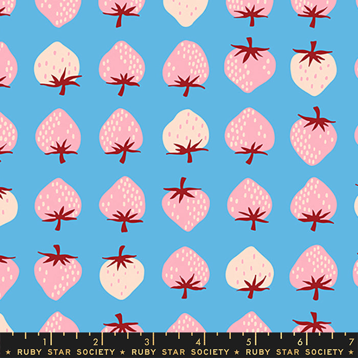 Strawberry in Altitude | Strawberry & Friends by Kimberly Kight